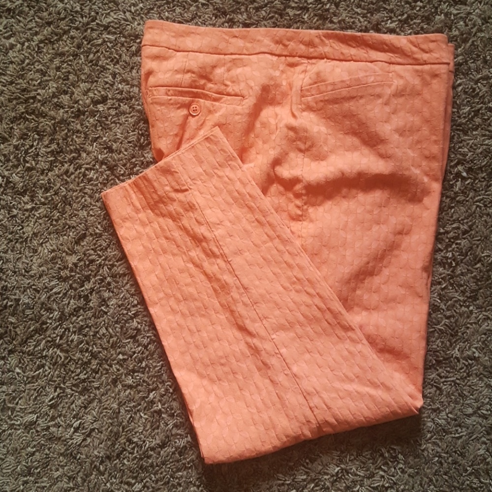 Lane Bryant Pants